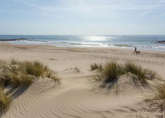 Sandy Shores - Sandbanks